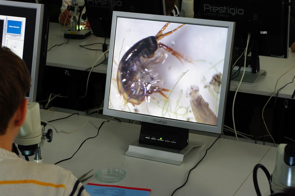 Изучаем байкальских обитателей с помощью компьютеризированных микроскопов